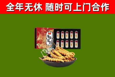 海北州烟酒回收冬虫夏草礼盒.jpg